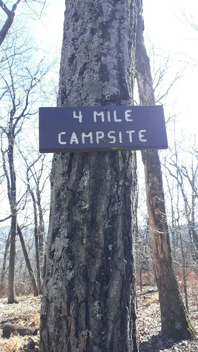 AT Campsite Picture 7