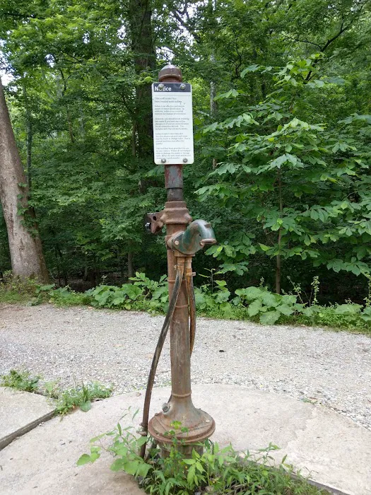 Huckleberry Hill Hiker Biker Campsite Picture 9