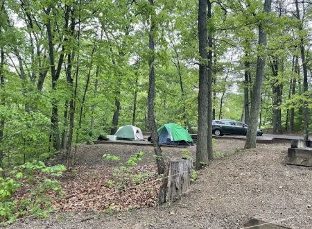 Seven Points Campground