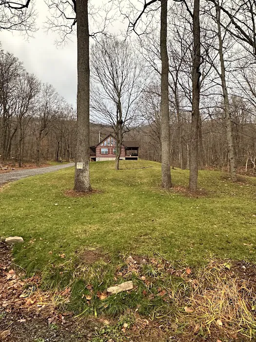 Shady Maple Campground Picture 3