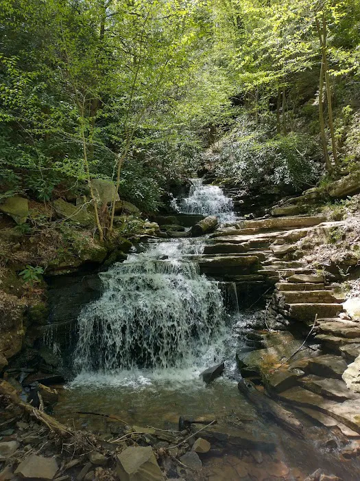Trough Creek State Park Campground Picture 1