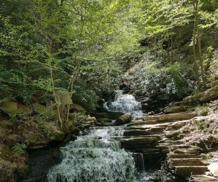 Trough Creek State Park Campground