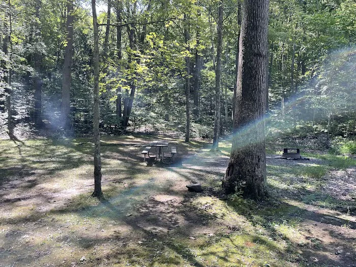 Trough Creek State Park Campground Picture 8