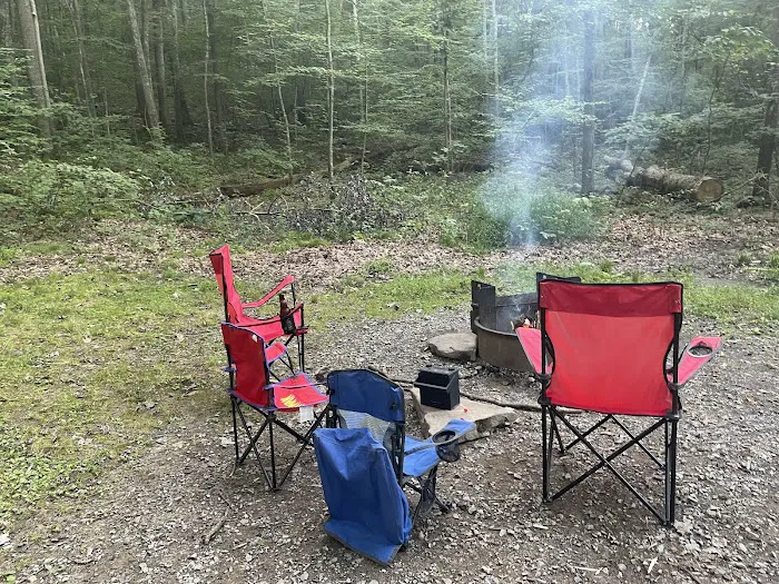 Trough Creek State Park Campground Picture 9