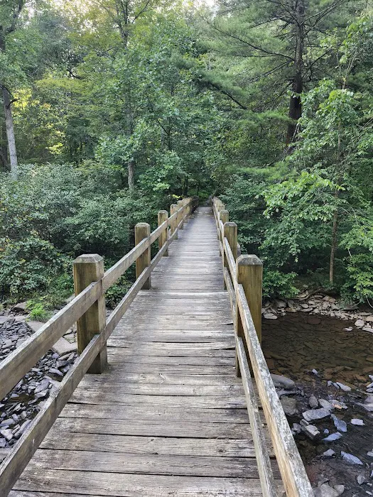 Trough Creek State Park Campground Picture 7