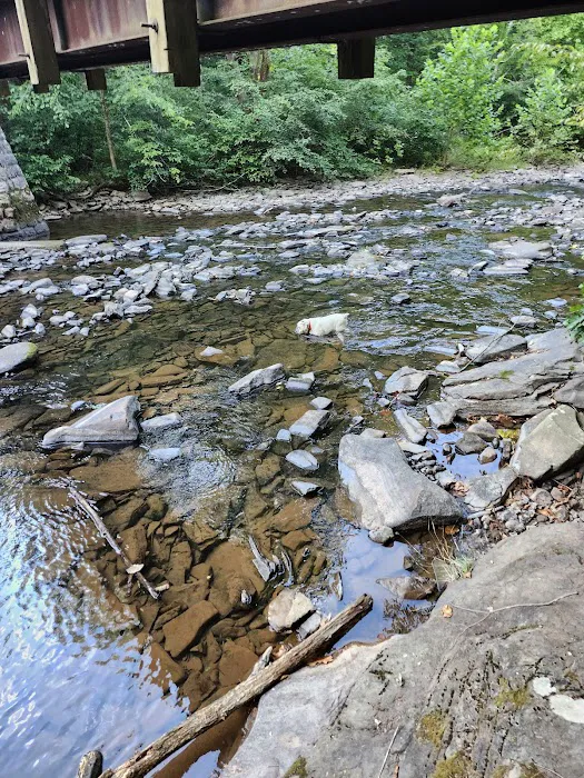 Trough Creek State Park Campground Picture 10
