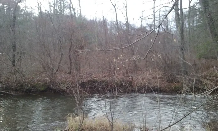 Brush Creek Campground Picture 2