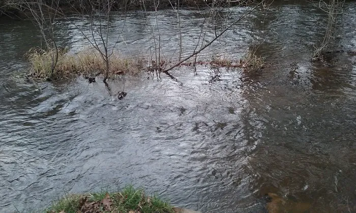 Brush Creek Campground Picture 1