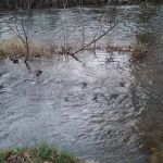 Brush Creek Campground