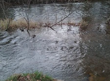 Brush Creek Campground