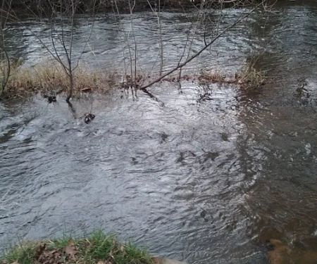 Brush Creek Campground