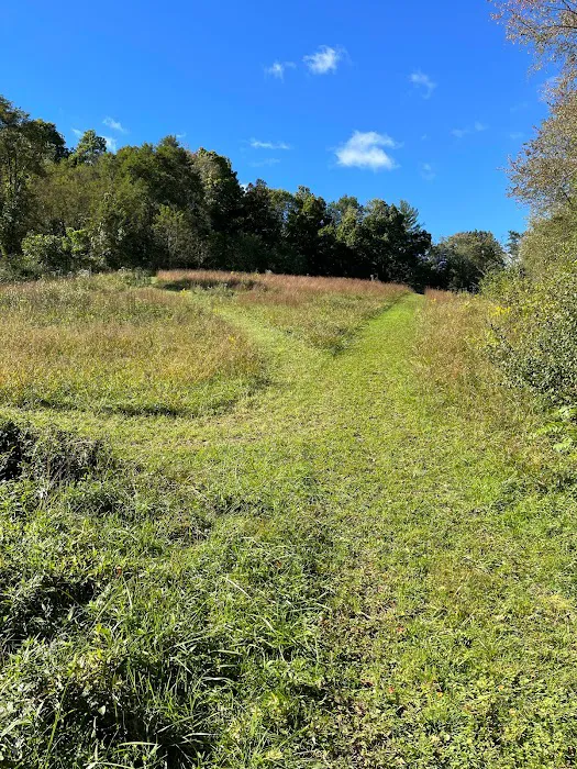 Sunny Glen Farms LLC RV Park Picture 3