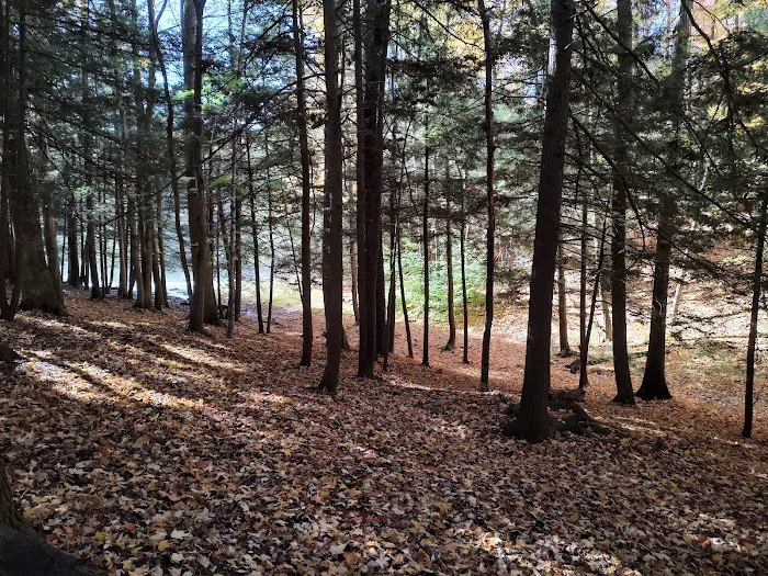 Crooked Run Campground Picture 7