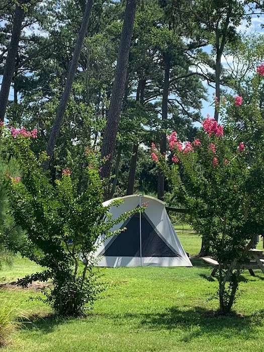 Pine Grove Campground Picture 10
