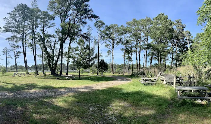 Pine Grove Campground Picture 2