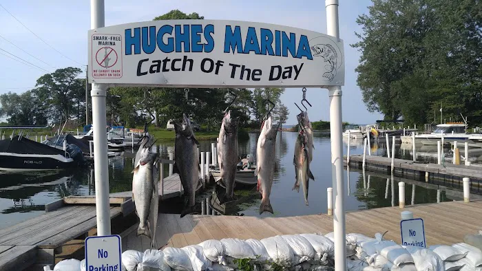 Hughes Marina & Campground Picture 8