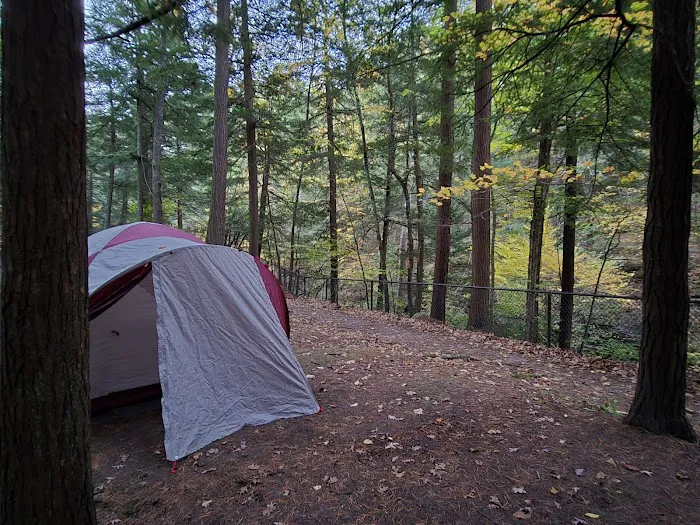 Group Camp Entrance, Stony Brook Picture 2