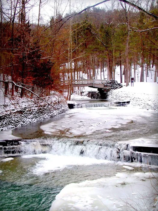 Stony Brook State Park Campground Picture 4