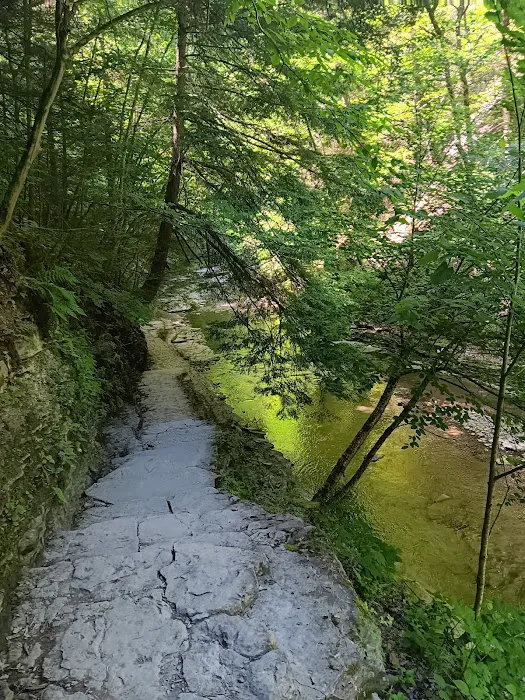 Stony Brook State Park Campground Picture 6