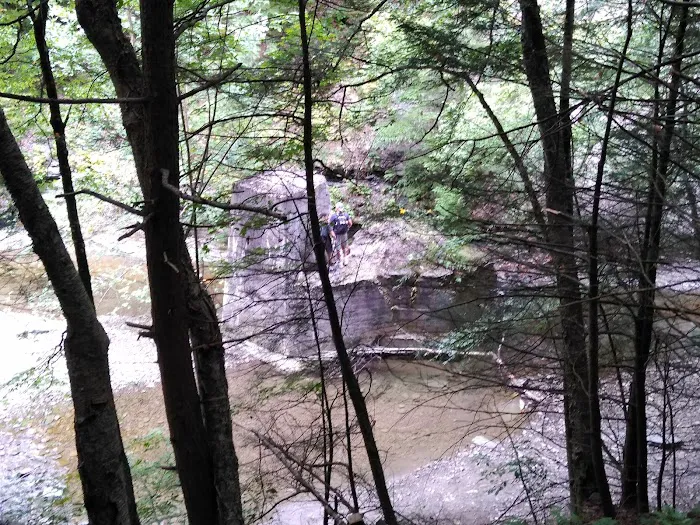 Stony Brook State Park Campground Picture 5