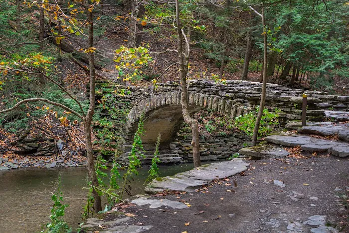 Stony Brook State Park Campground Picture 7