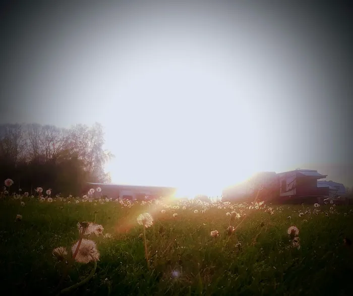 Skybrook Campground Picture 9