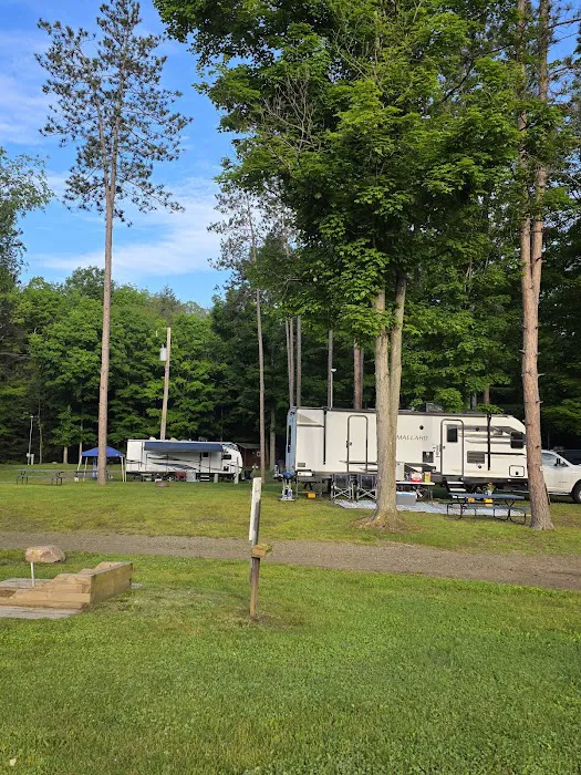 Sun Valley Campsites Picture 6