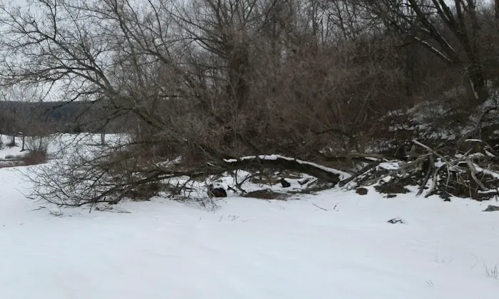 Kanakadea Recreation Area Picture 9