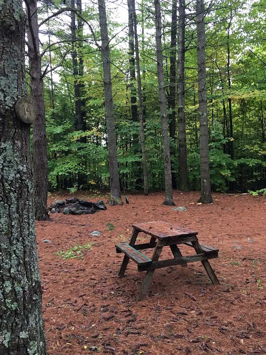 Schroon Lake Camps Picture 5