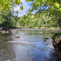 Wilderness Campsite ico