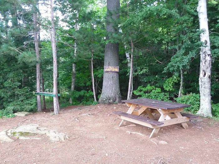 Indian Lake Islands Campground -Campsite #1 Picture 11