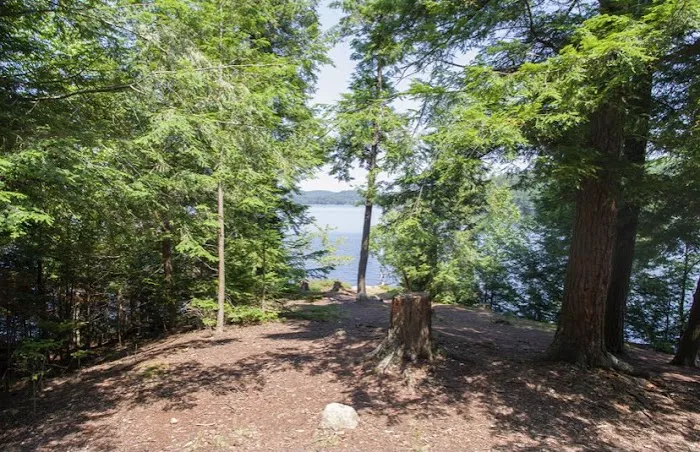 Indian Lake Islands Campground - Campsite #2 Picture 2