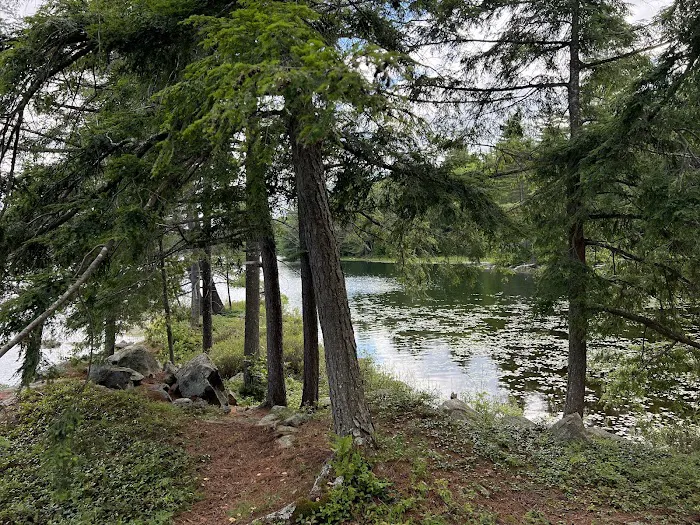 Pharaoh Lake Campsite near Pharaoh Mtn Trail Jct Picture 4