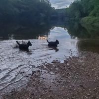 On The River Campground LLC ico