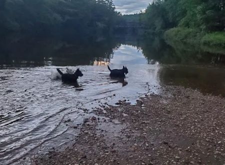 On The River Campground LLC