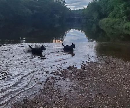 On The River Campground LLC