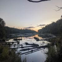 Hague rest area ico
