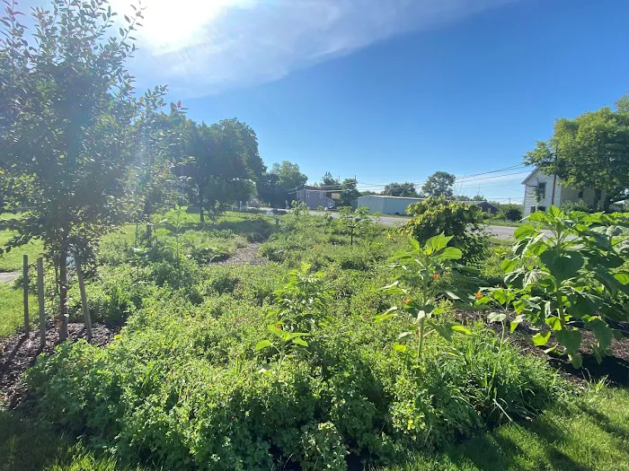 Alton RV Park Picture 1