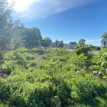 Alton RV Park