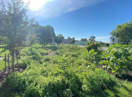 Alton RV Park