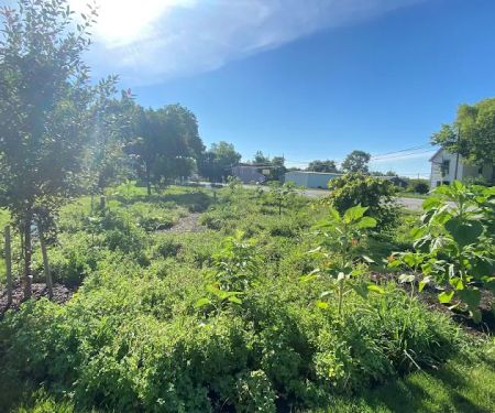 Alton RV Park