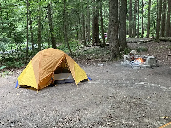 Putnam Pond Campground Picture 6