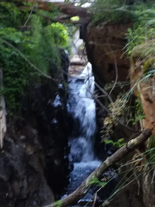 Green Acres By the Brook Picture 8