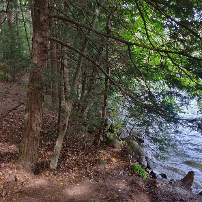 Rogers Rock Campground Picture 4