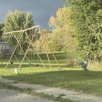 Willow Haven Mobile Home Park ico