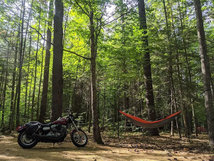 Campton Campground Picture 6