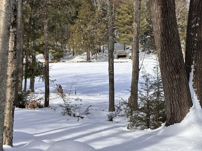 Baxter Lake Recreation Area Picture 3