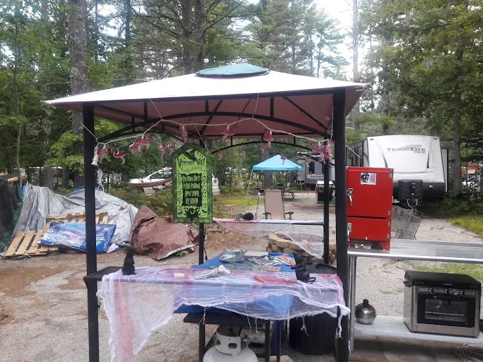 Salmon Falls River RV Resort Picture 3