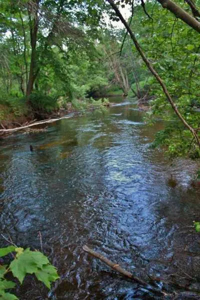 Salmon Falls River RV Resort Picture 4