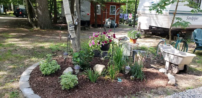 Bear's Pine Woods Campground & Resort Picture 2